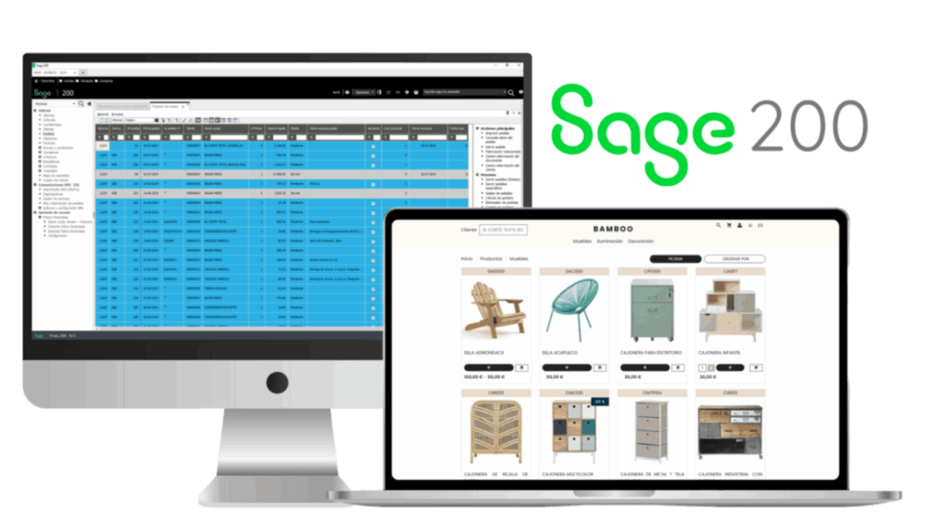 Stoam-ecommerce-b2b-integracion-erp-con-ecommerce-sage