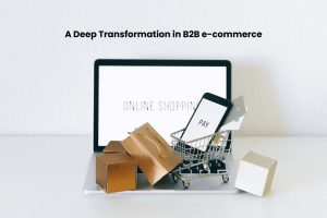 deep-transformation-b2b-e-commerce